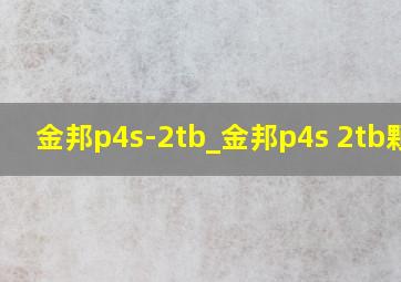 金邦p4s-2tb_金邦p4s 2tb颗粒